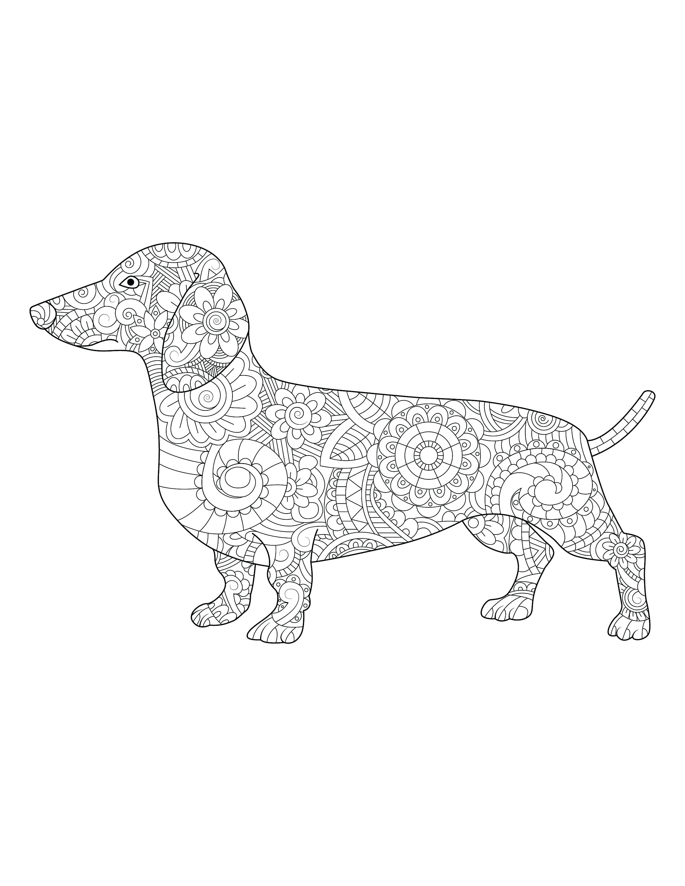 Dachshund dog coloring page zen coloring digital coloringinstant download printable coloring sheet pdf