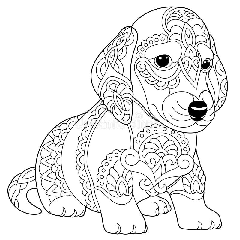 Dachshund dog coloring page stock vector
