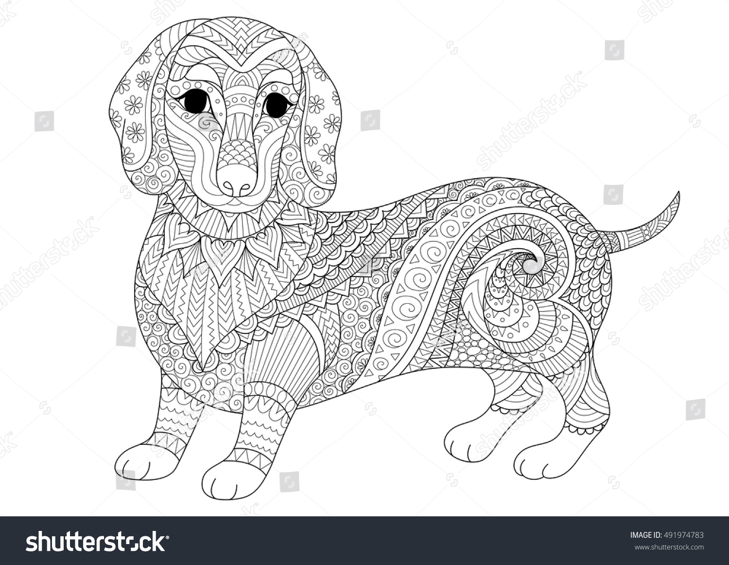 Zendoodle design dachshund puppy adult coloring stock vector royalty free
