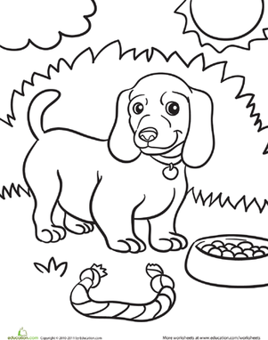 Weiner dog puppy worksheet education puppy coloring pages dog coloring page coloring pages