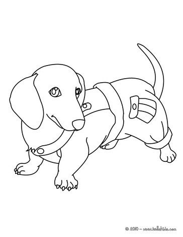Dachshund puppy coloring pages