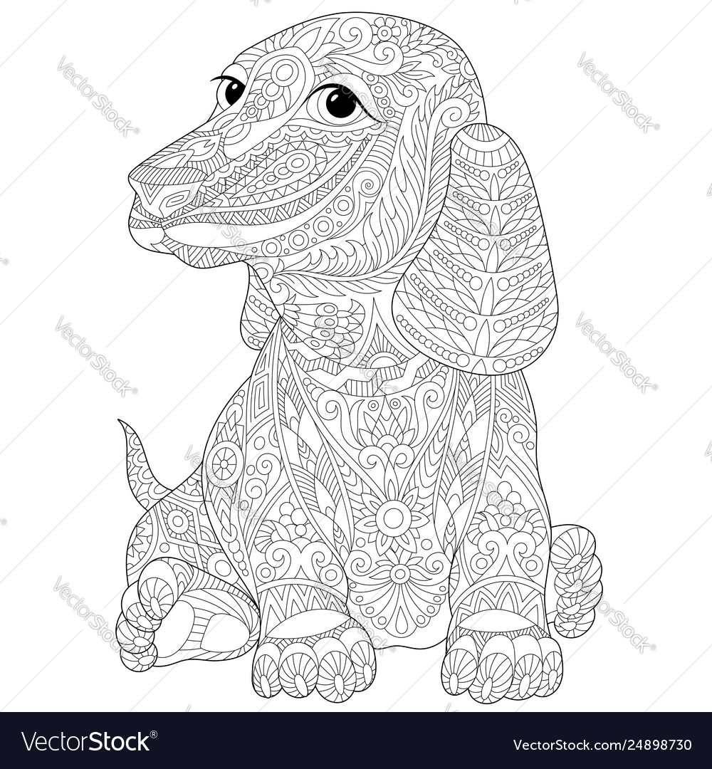 Dachshund dog adult coloring page royalty free vector image