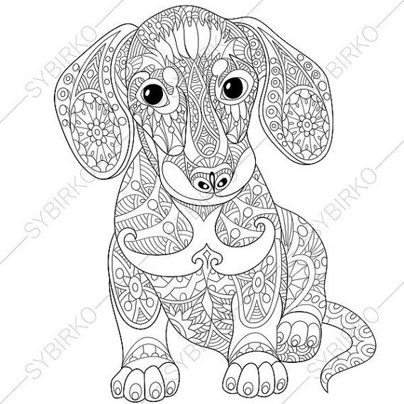 Color the dachshund dogs worksheets
