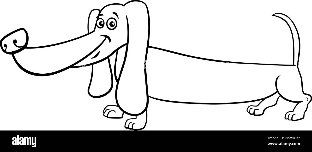 Funny cartoon purebred dachshund dog coloring page stock vector image art