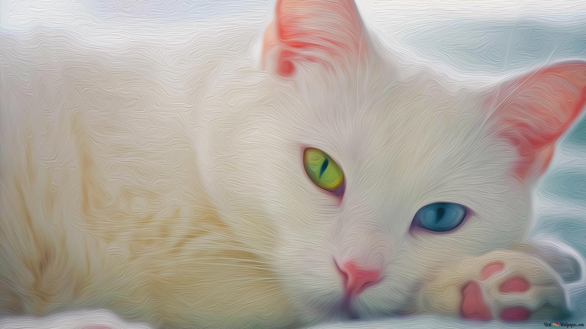 Cute white cat background k wallpaper download