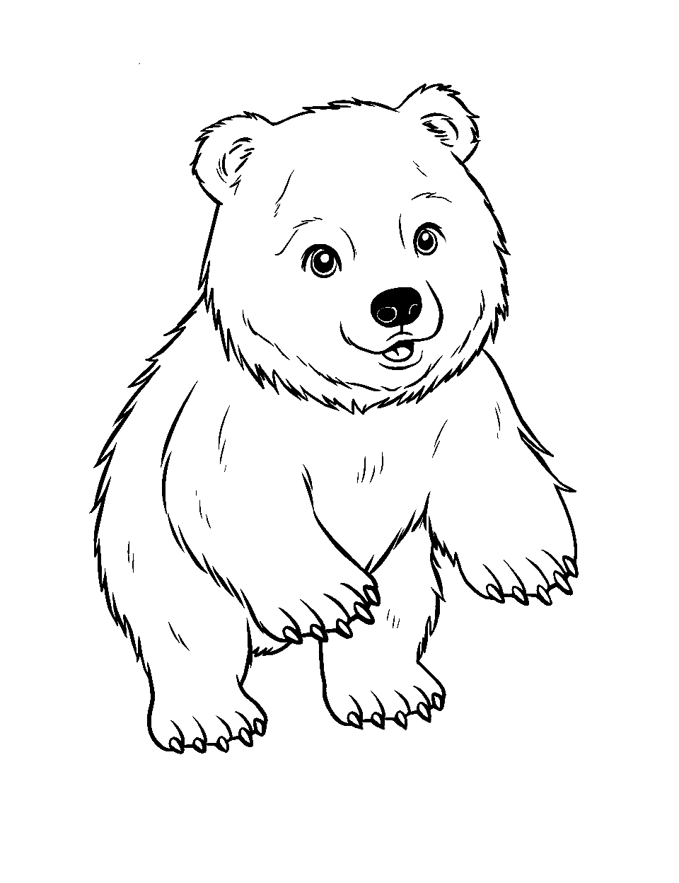 Bear coloring pages free printable sheets