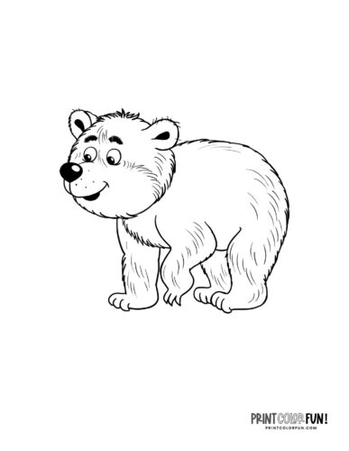 Explore the wild with bear clipart coloring plus engaging activities for kids at