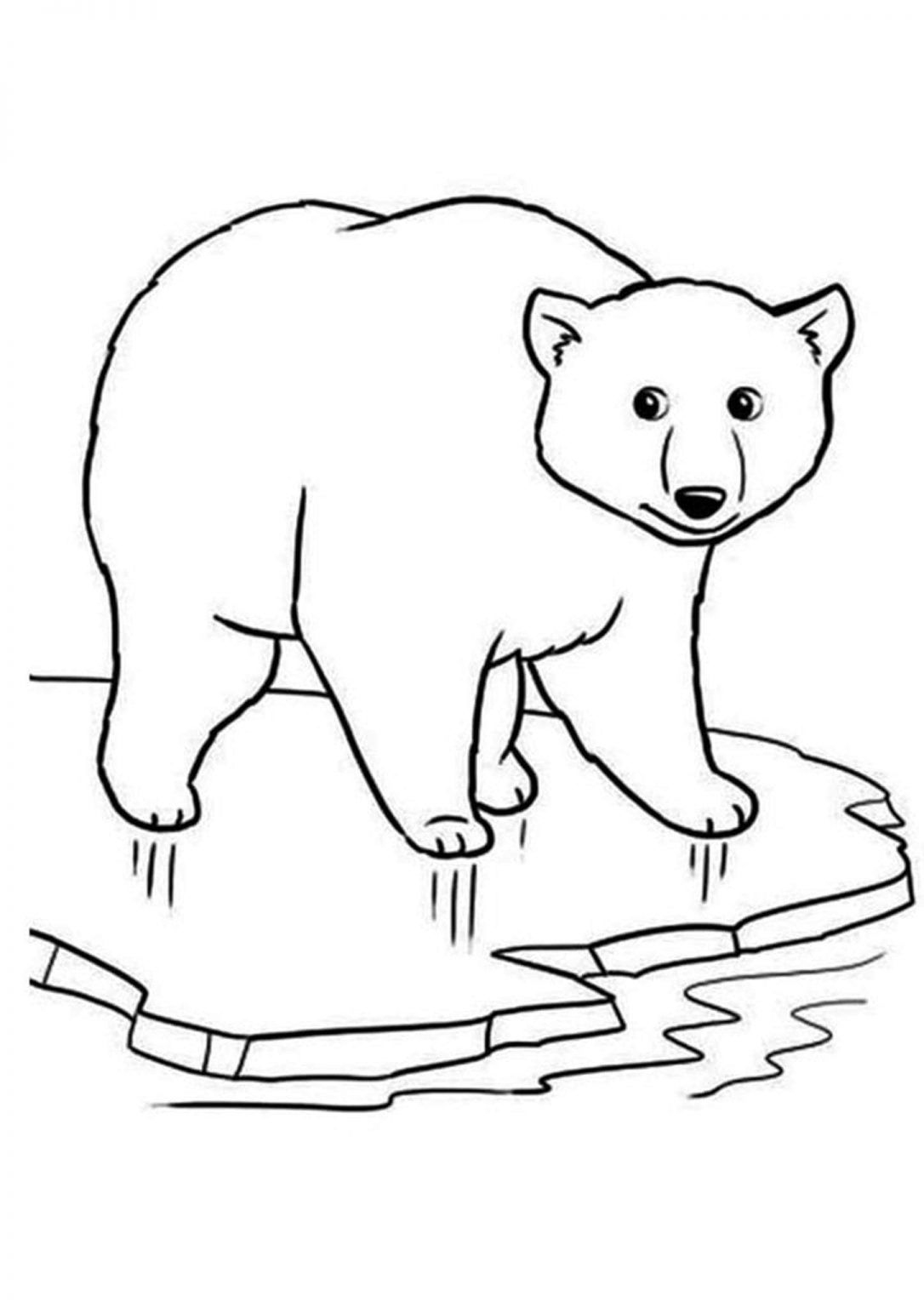 Free easy to print bear coloring pages polar bear coloring page polar bear color bear coloring pages