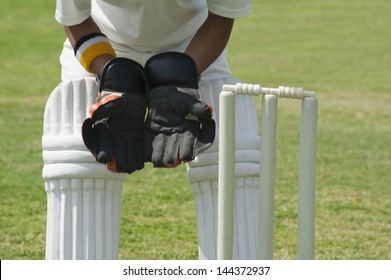 Wicket keeper images stock photos vectors
