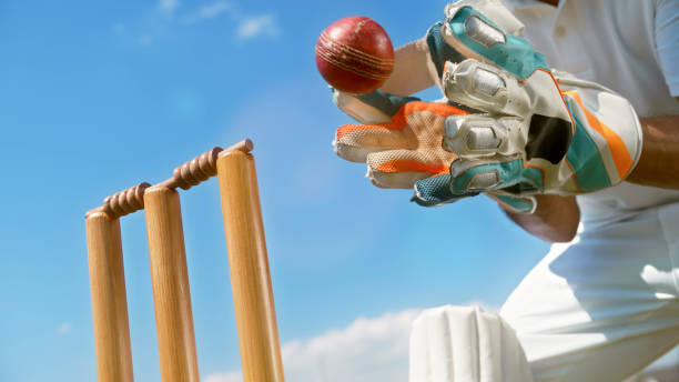Wicketkeeper catching cricket ball stock photo