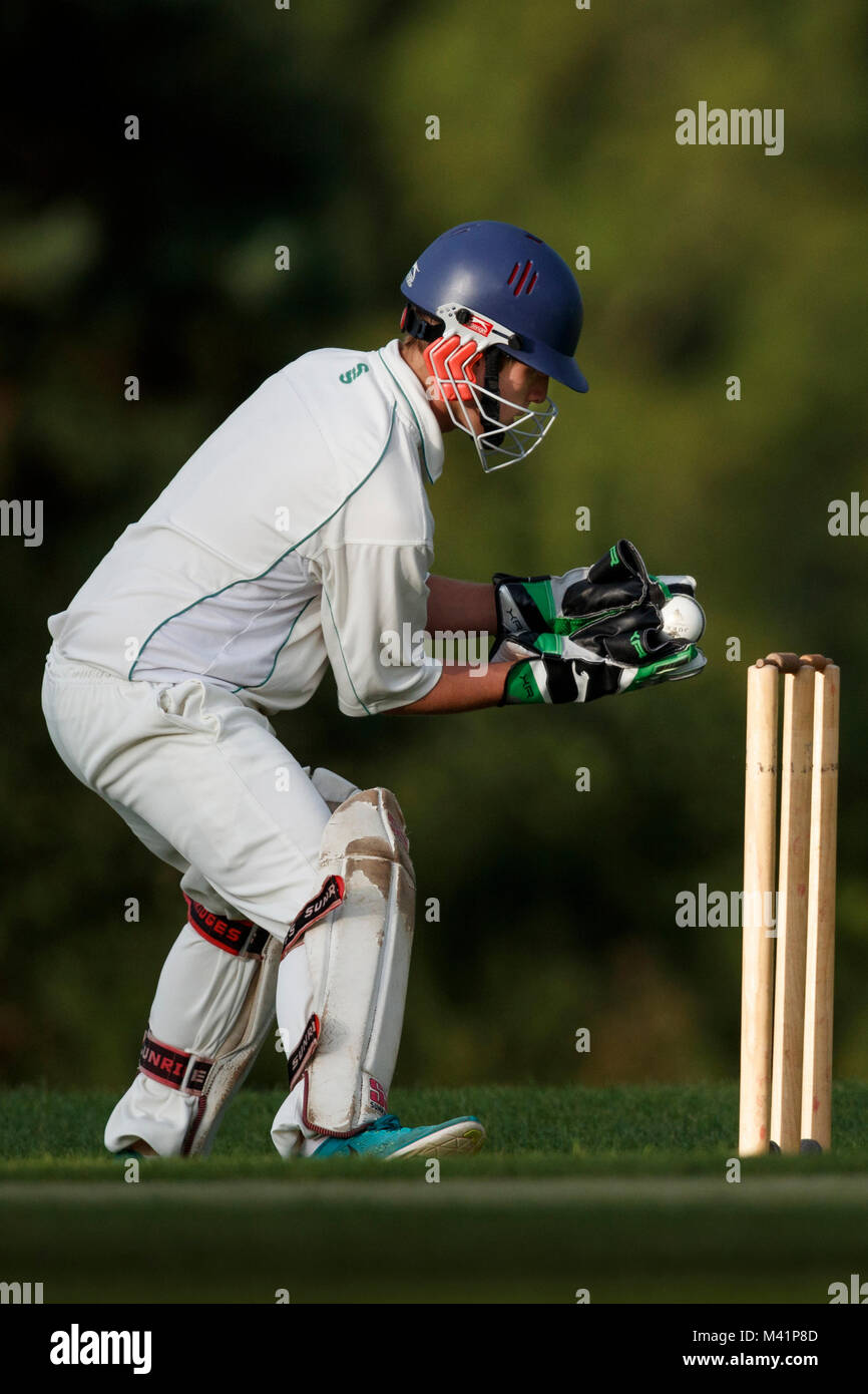 Cricket wicket keeper in action stock photo