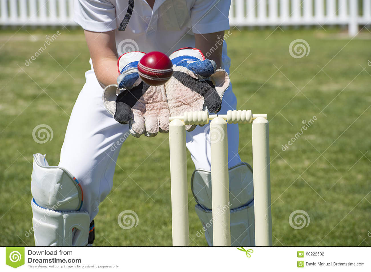 Cricket wicket keeper stock photos