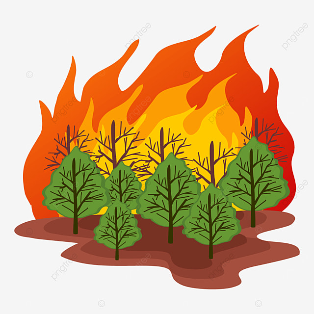 Download Free 100 + wildfire animated