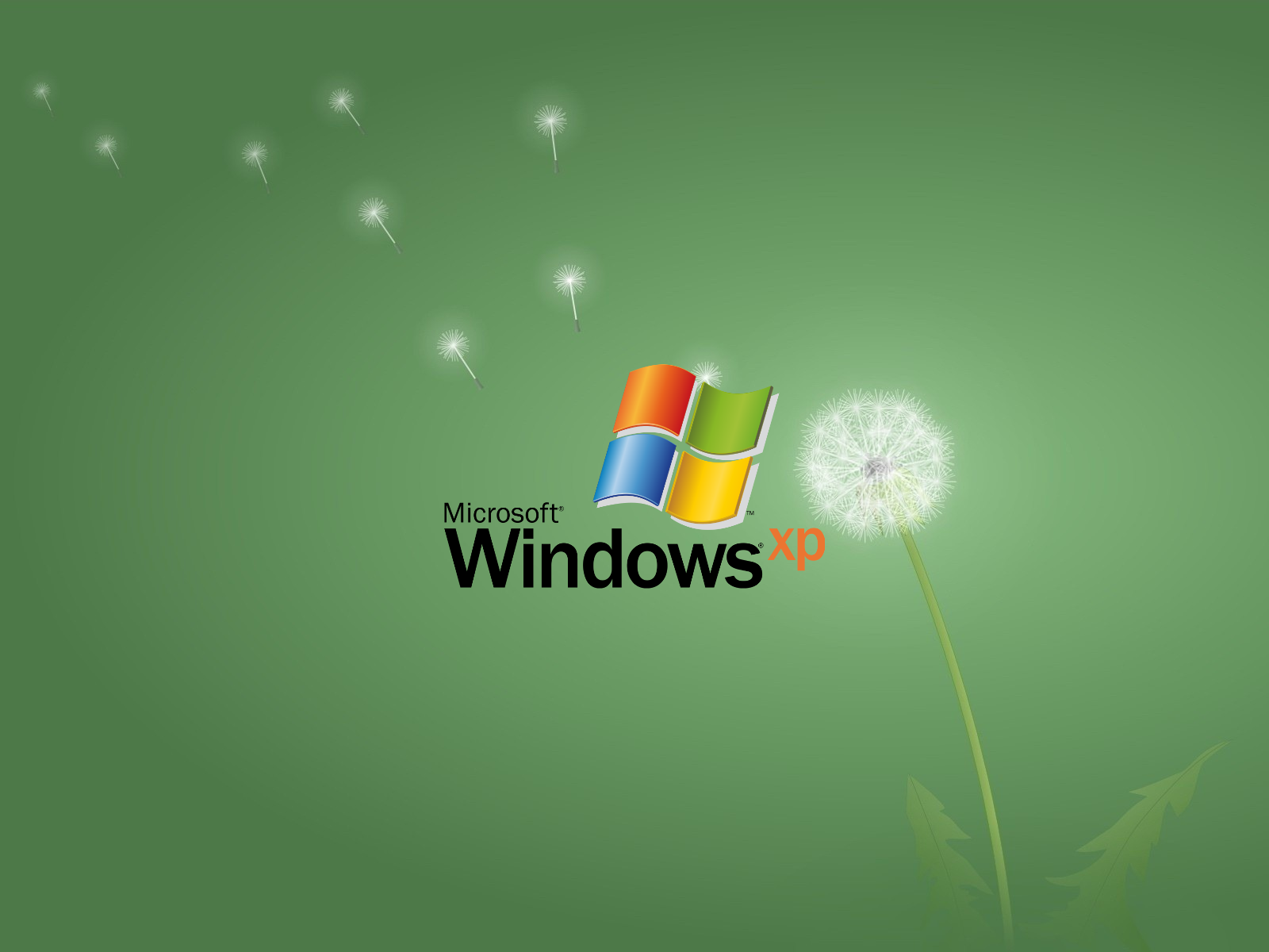 Artwork logo simple background microsoft windows dandelion windows xp operating system windows logo
