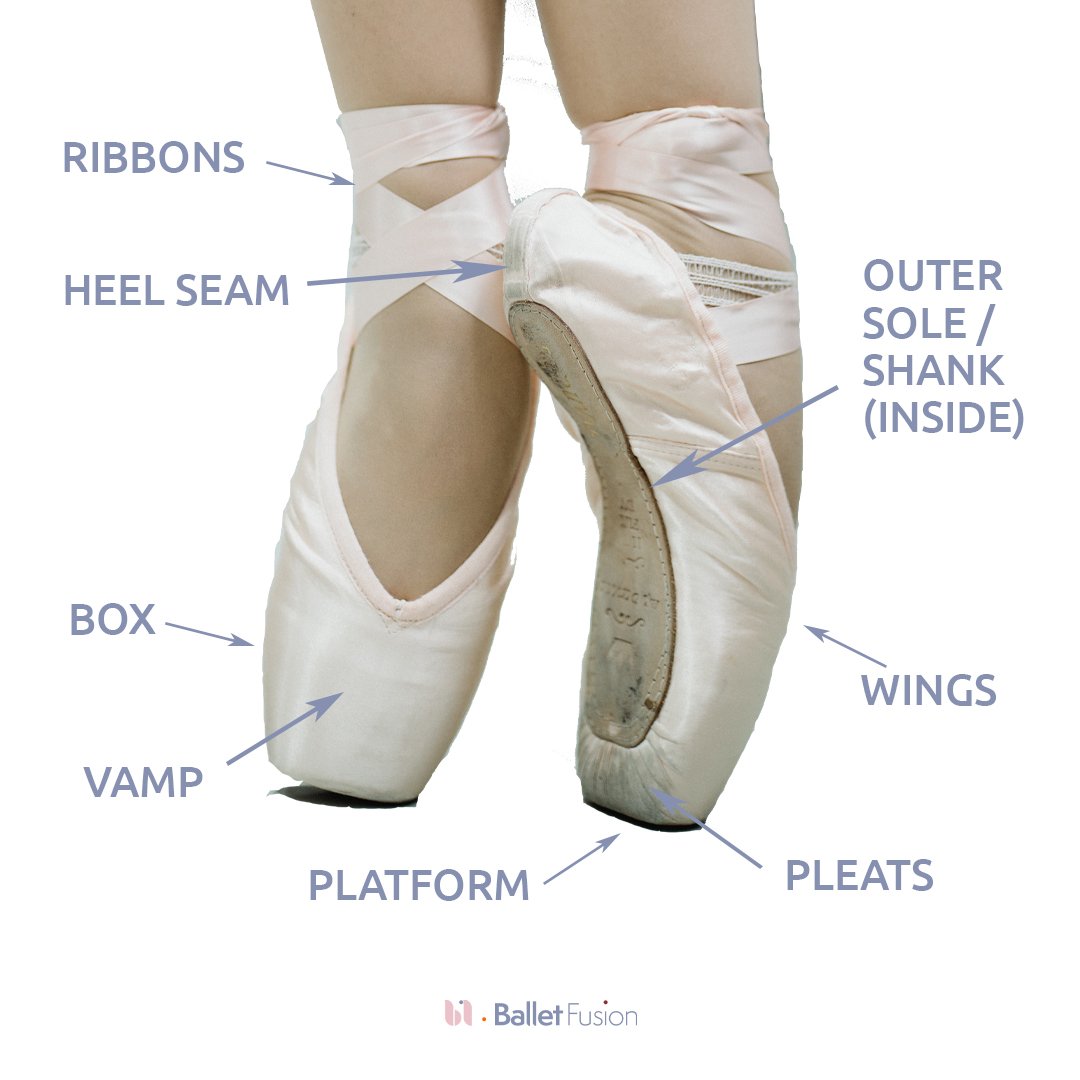 Anatomy of a pointe shoe â ballet fusion