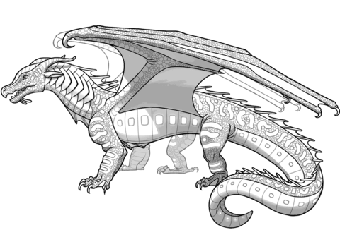 Seawings dragon from wings of fire coloring page free printable coloring pages