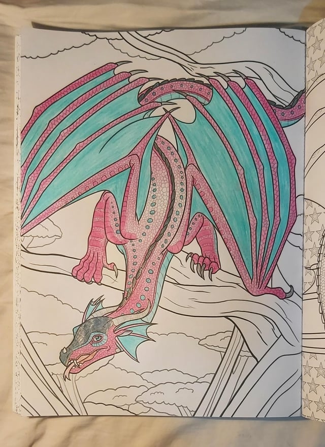 I finished a page of the wings of fire colouring in book ð rwingsoffire