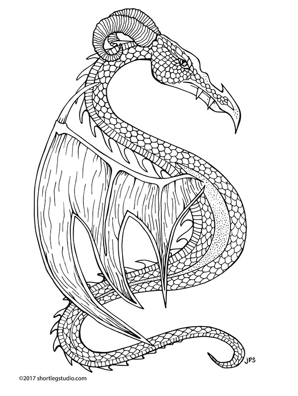 New dragon coloring sheet â short leg studio