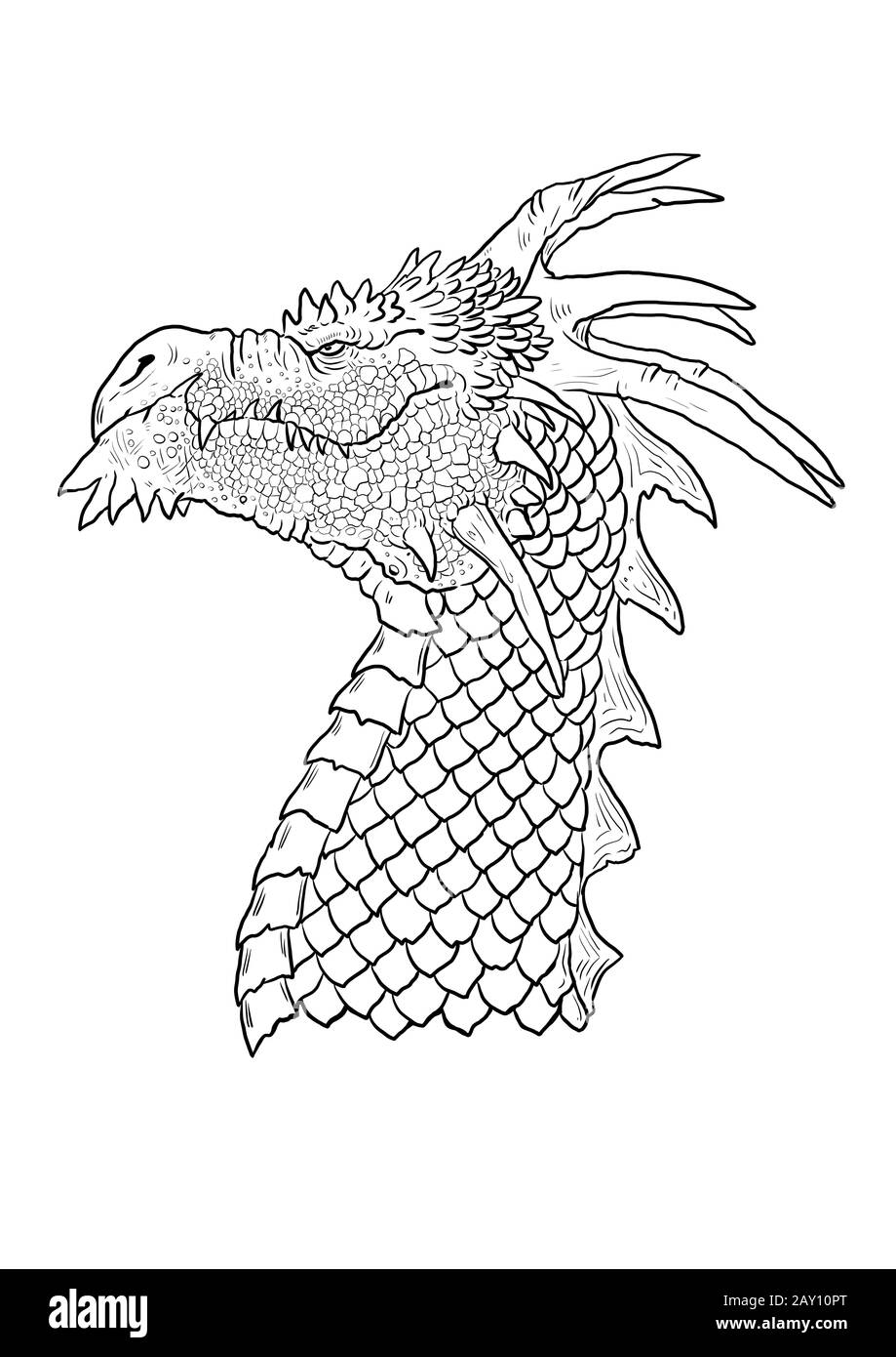 Dragon coloring page outline illustration dragon drawing coloring sheet stock photo