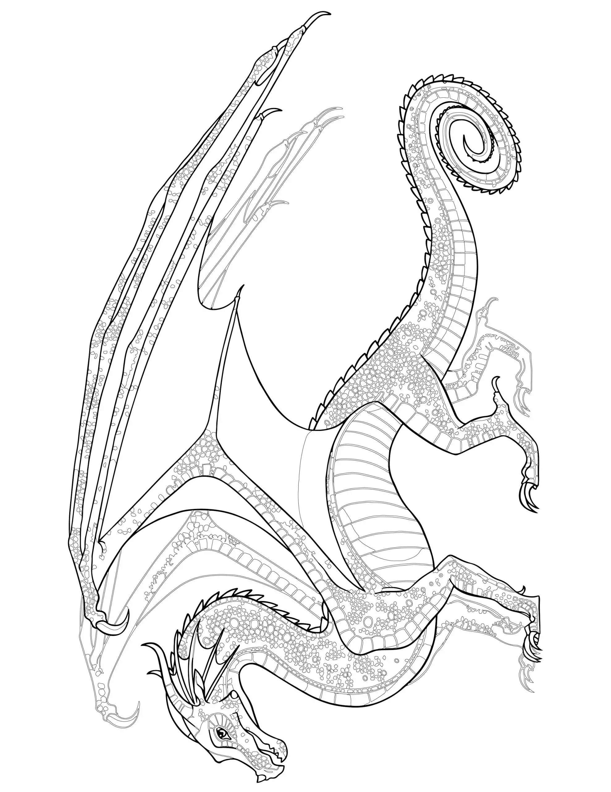Wings of fire dragon coloring pages for kids free printable