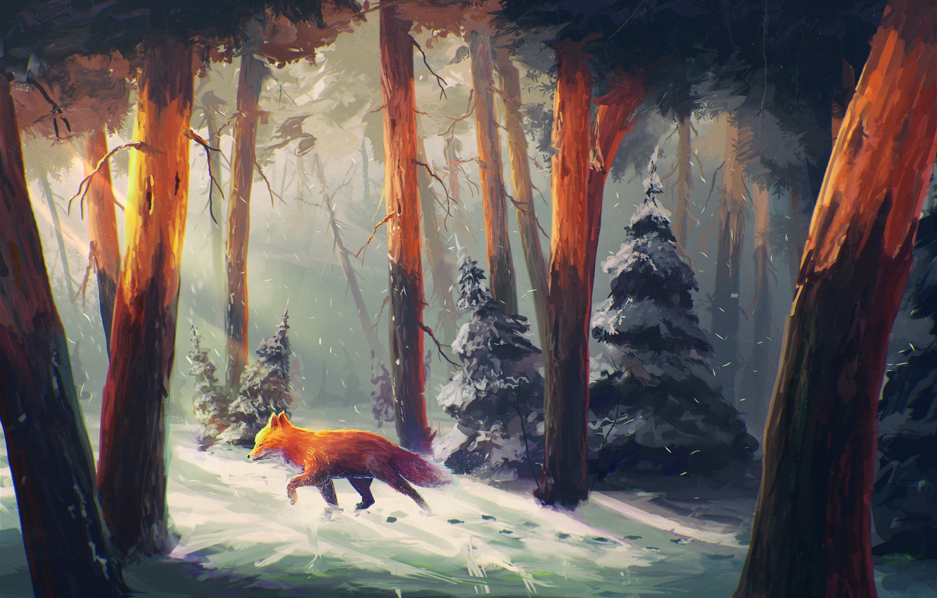 Wallpaper winter forest snow trees traces tree art fox images for desktop section ððððððññ