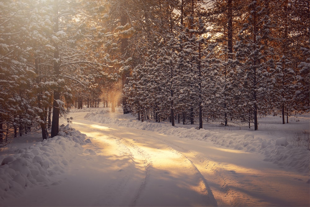 Winter wallpapers free hd download hq