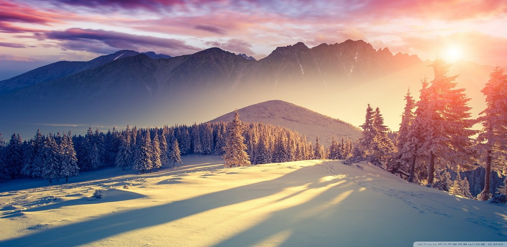 Winter hd wallpapersappstore for android