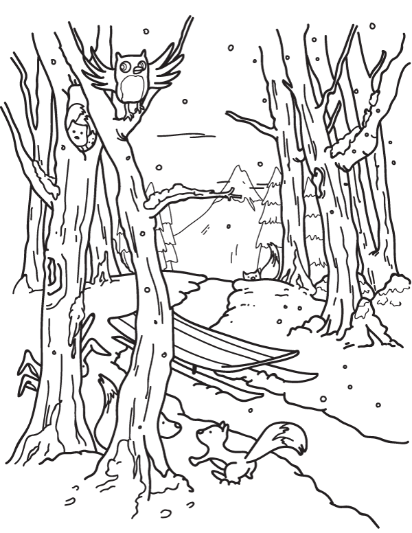 Free winter forest coloring page download it from httpsmuseprintablesdownloadcoloring