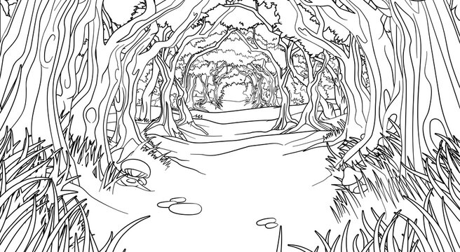 Coloring pages forest images â browse photos vectors and video