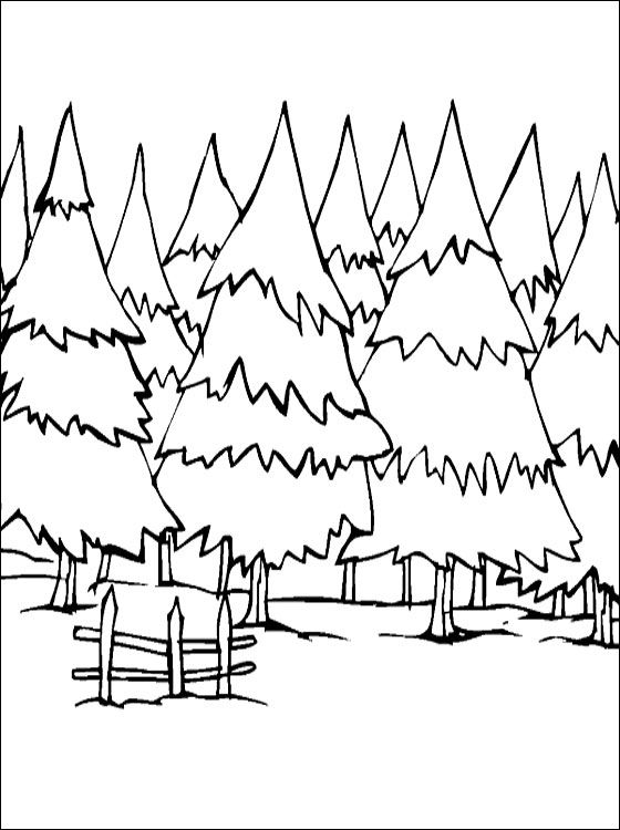 Winter forest coloring page coloring pages tree coloring page coloring pages forest coloring pages