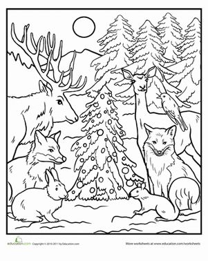 Color the forest holiday worksheet education animal coloring pages forest coloring pages coloring pages