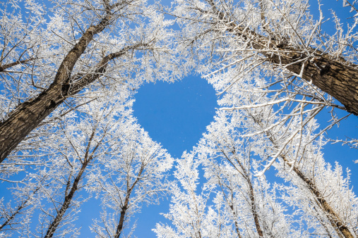 Winter love pictures download free images on