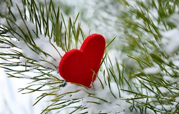 Wallpaper winter snow love tree heart love i love you heart winter snow images for desktop section ñðð