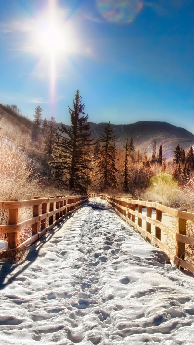 Aspen trail winter iphone wallpapers free download