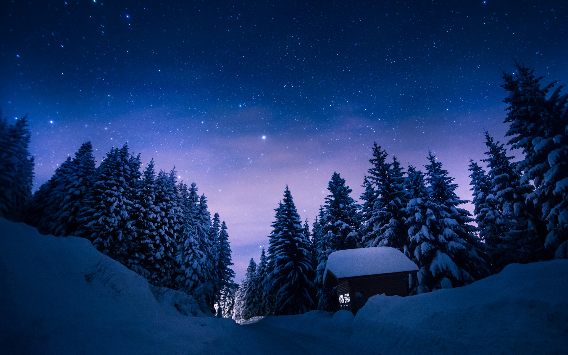 Trees snow winter night stars cabin path trail trees sky wallpapers hd desktop and mobile backgrounds