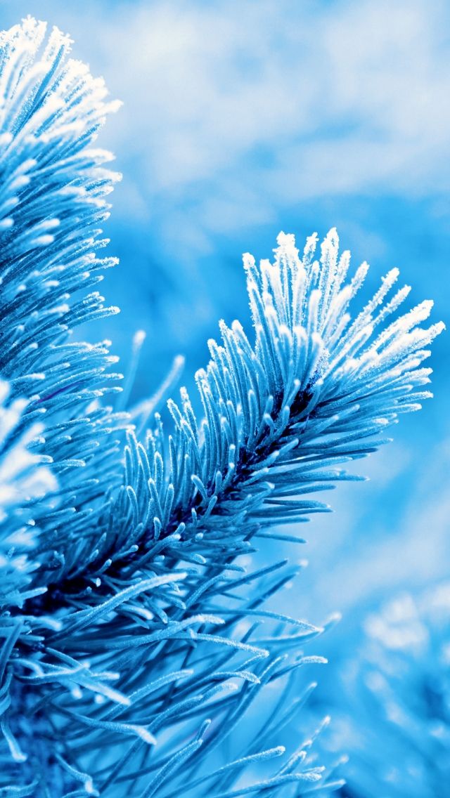 Winter wallpaper for iphone