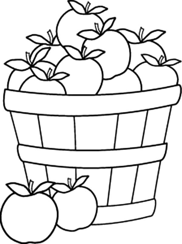 Basket of apes coloring pages ape coloring pages fall coloring sheets ape coloring