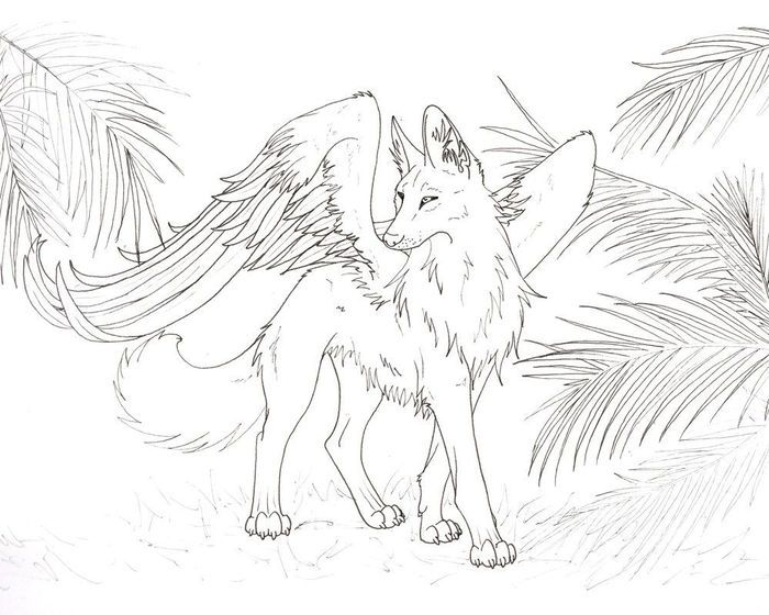 Coloring pages of wolves with wings wolf colors deer coloring pages animal coloring pages