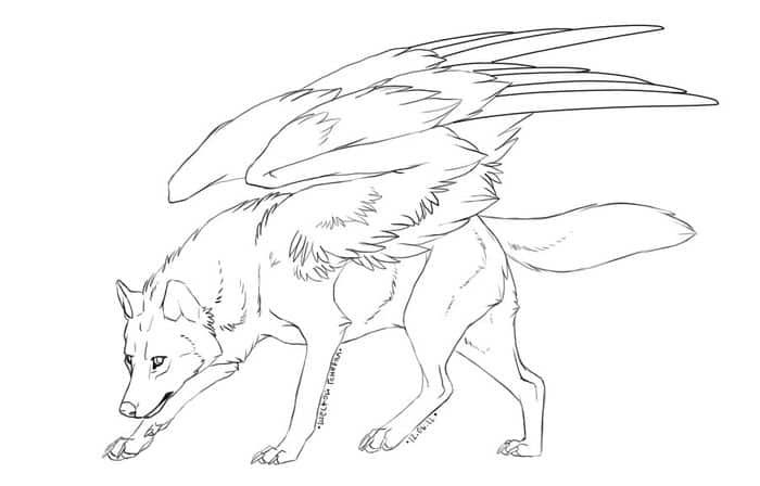 Coloring pages wolves with wings printable wolf colors wolf sketch animal coloring pages