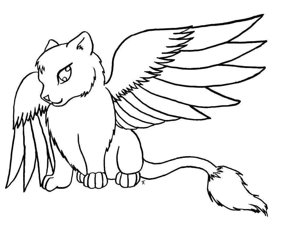 Online coloring pages coloring winged cat coloring