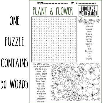 Plant flower coloring word search puzzle worksheets activities