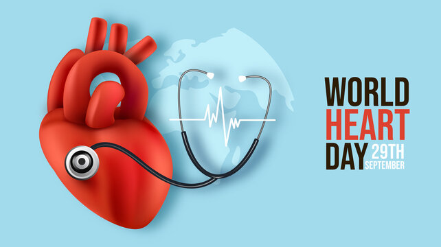World heart day images â browse photos vectors and video
