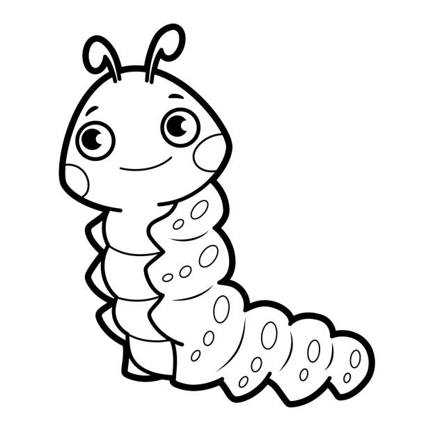 Caterpillar coloring pages stock illustrations royalty