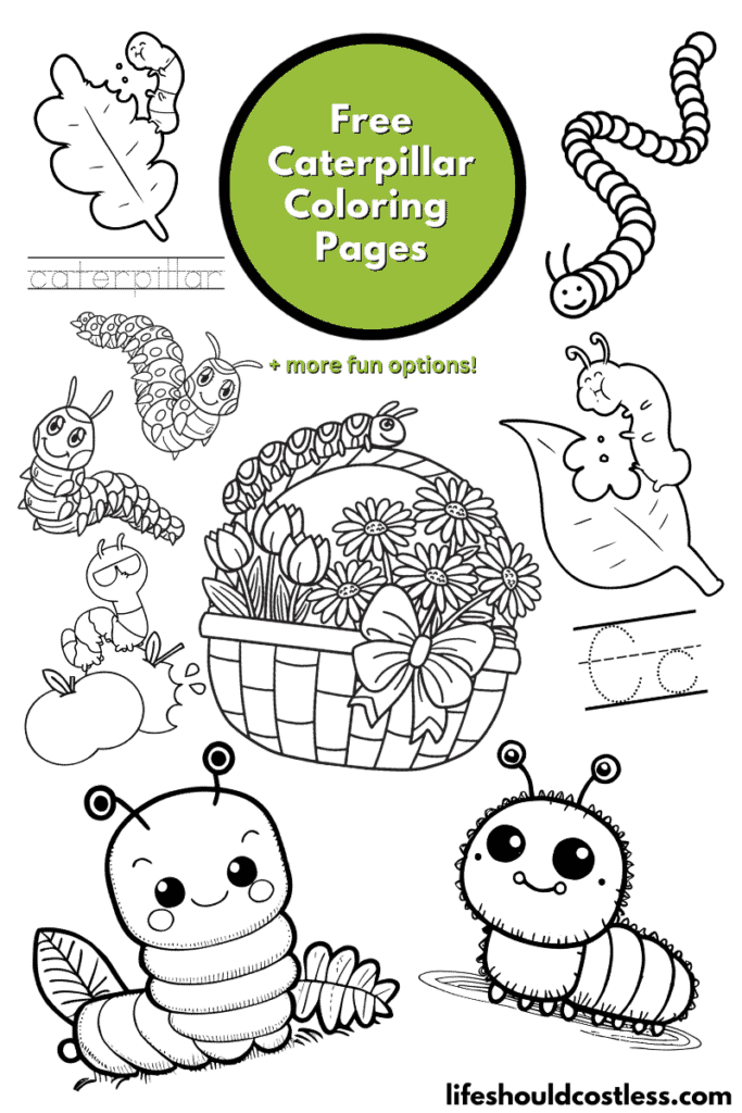 Caterpillar coloring pages free printable pdf templates