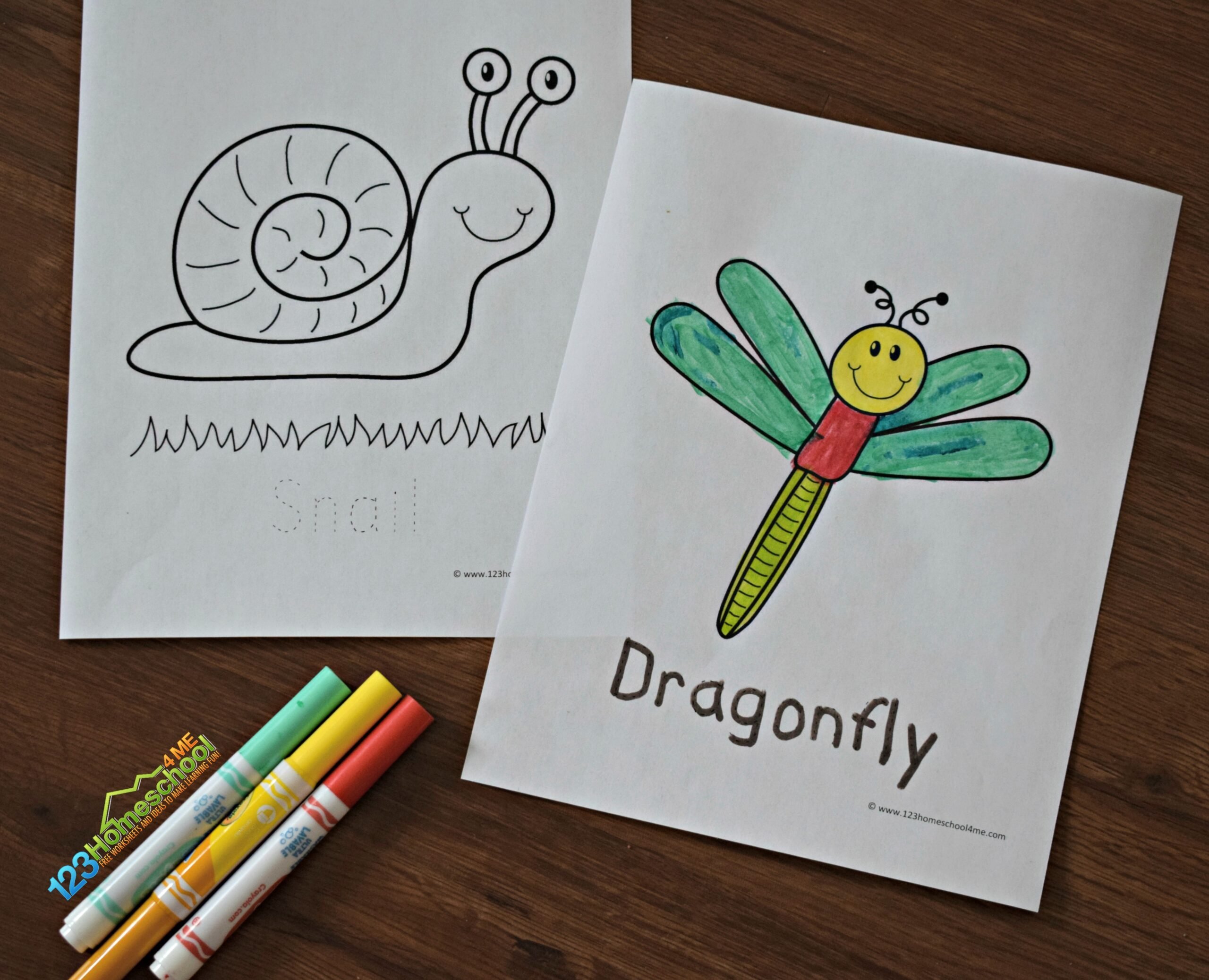 Ððð free printable simple bug and insect coloring pages for kids