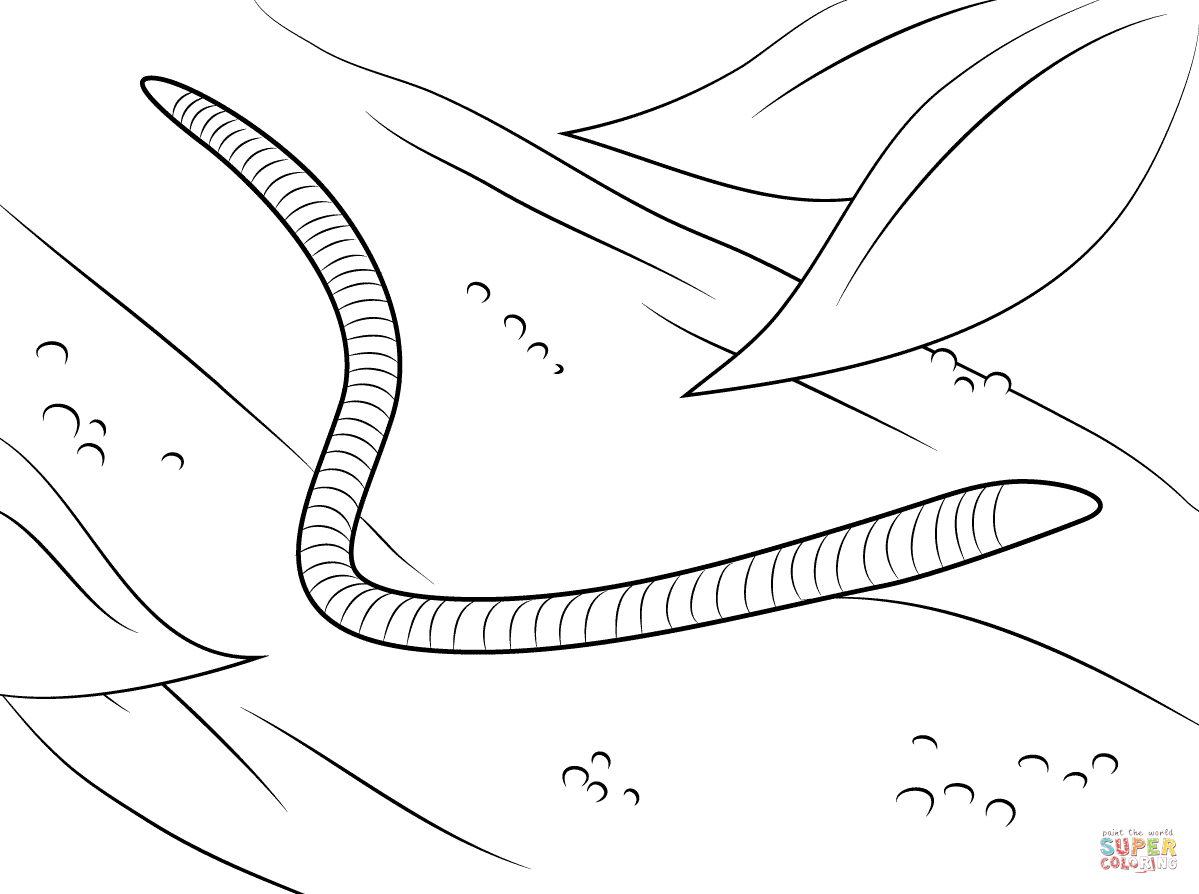 Worm coloring page free printable coloring pages