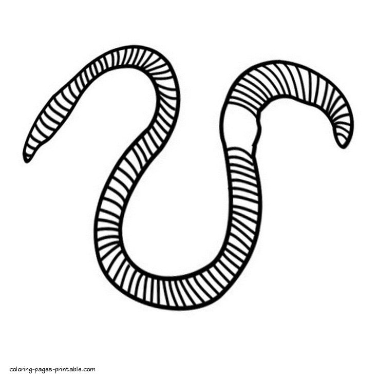 Awesome worm coloring pages check this guide cartoon template coloring pages clip art