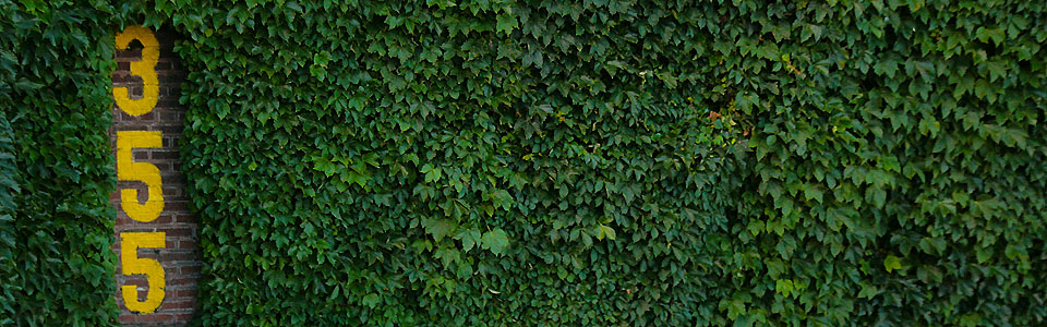 Free download the wrigley field ivy around the ft marker on the left field wall x for your desktop mobile tablet explore wrigley field ivy wallpaper ivy