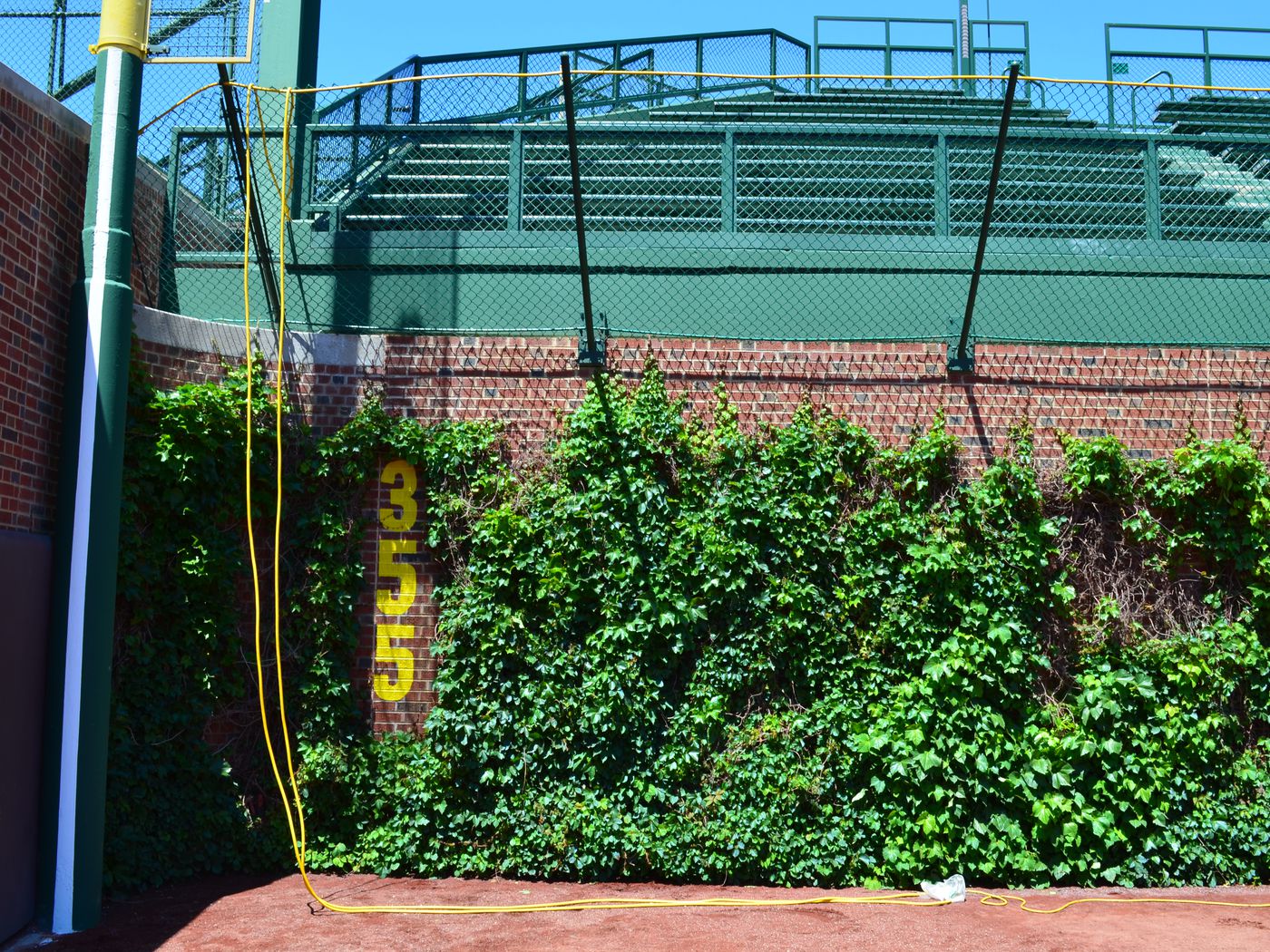The wrigley field ivy and the new left