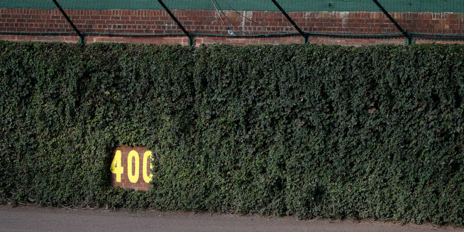Why are wrigley fields outfield walls covered in ivy
